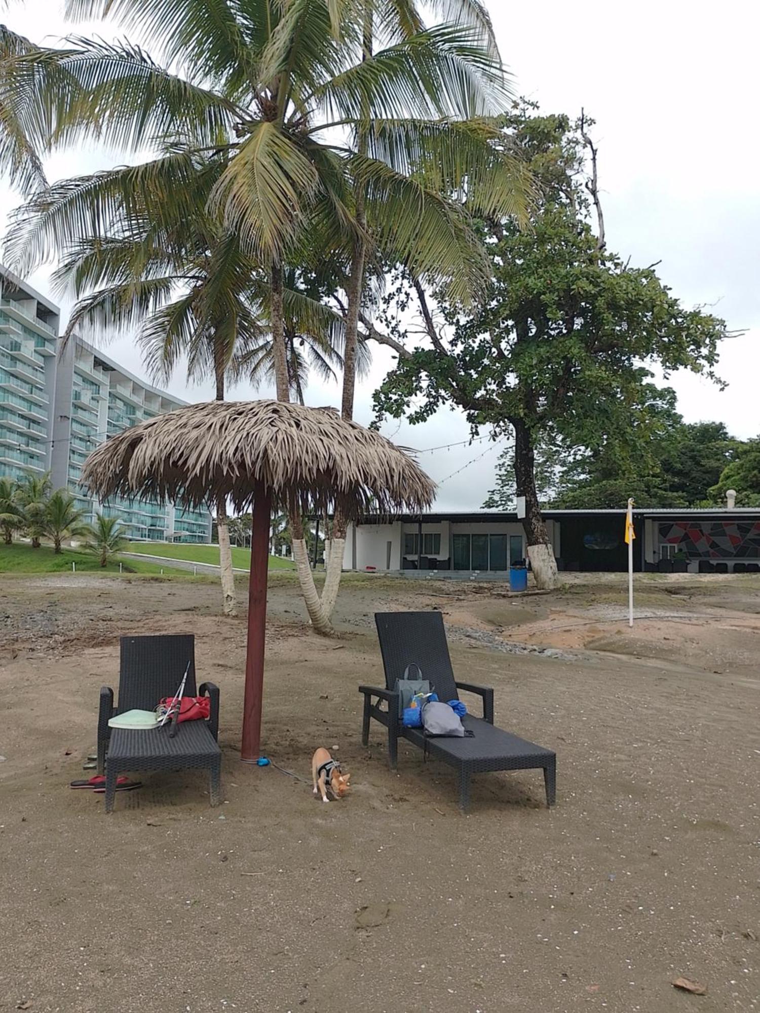 Apartamento En Balabeach Maria Chiquita In Front Of The Beach 2Hab Colon Bilik gambar