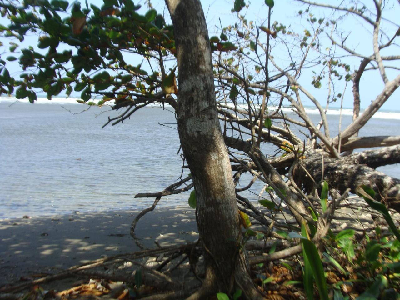 Apartamento En Balabeach Maria Chiquita In Front Of The Beach 2Hab Colon Luaran gambar