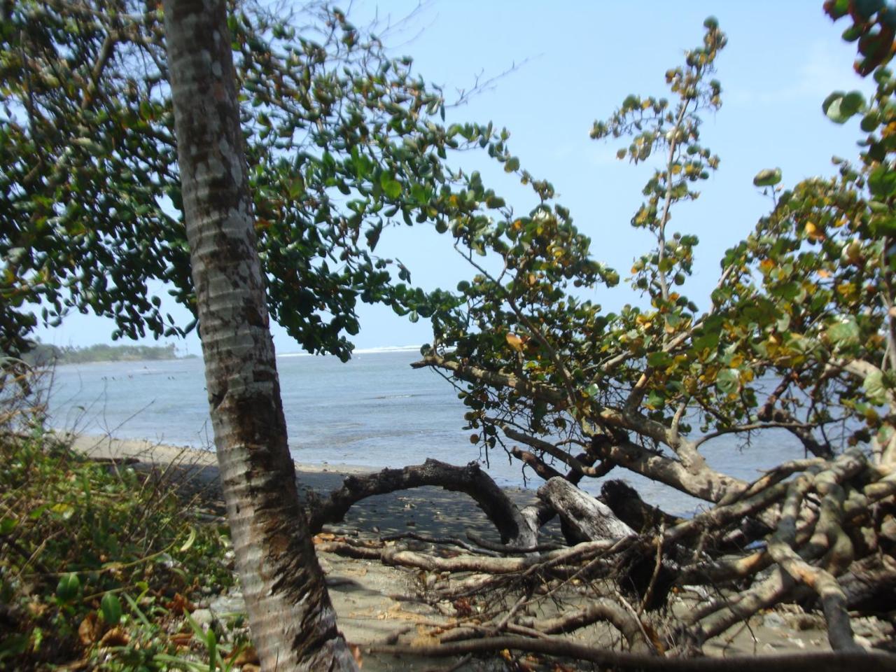 Apartamento En Balabeach Maria Chiquita In Front Of The Beach 2Hab Colon Luaran gambar