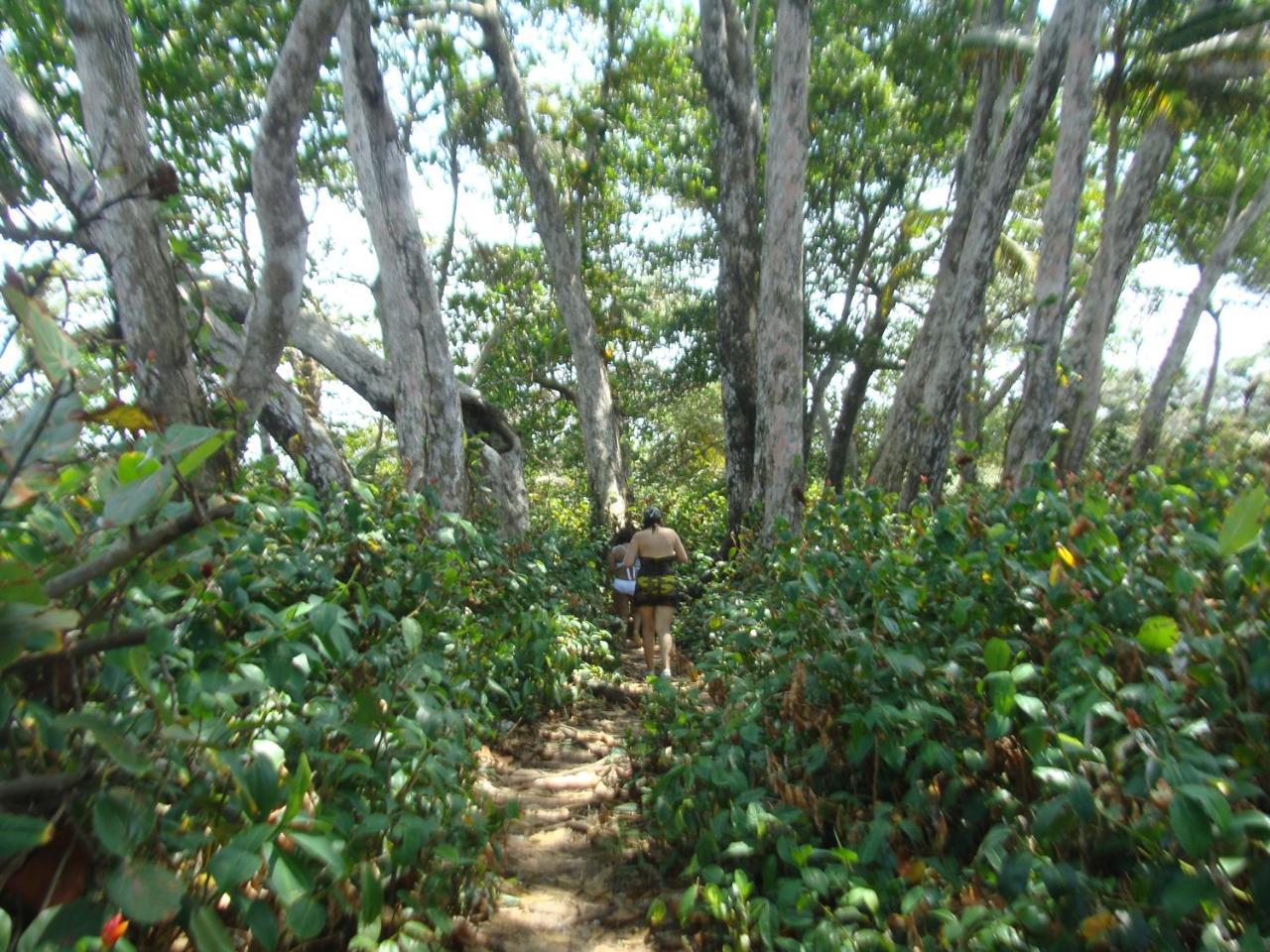 Apartamento En Balabeach Maria Chiquita In Front Of The Beach 2Hab Colon Luaran gambar