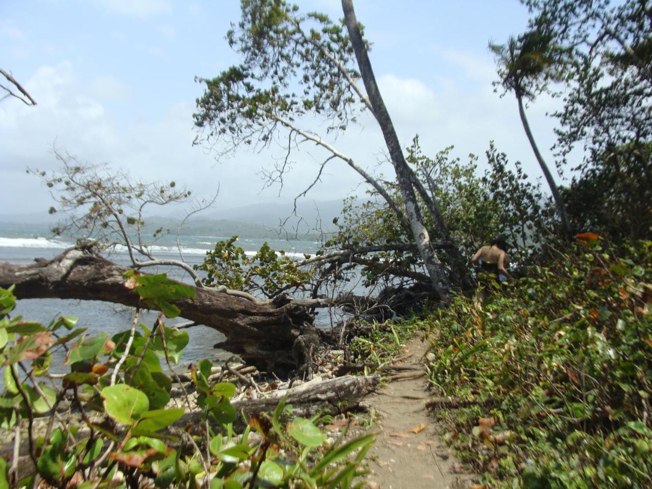 Apartamento En Balabeach Maria Chiquita In Front Of The Beach 2Hab Colon Luaran gambar